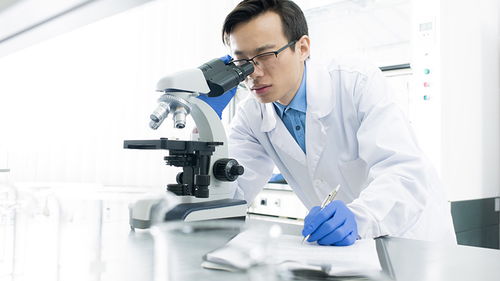 玩具檢測(cè)認(rèn)證 構(gòu)筑安全防線，驅(qū)動(dòng)行業(yè)高質(zhì)量發(fā)展